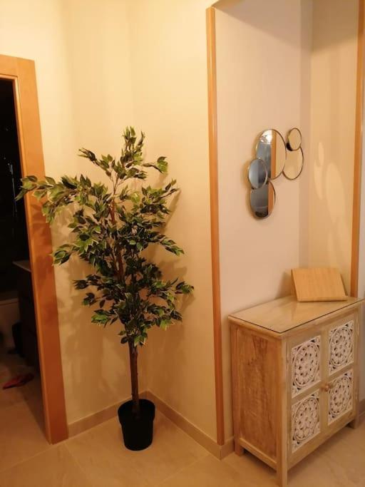 Atico Duque Gran Terraza Parking Free Apartment Cartagena Ngoại thất bức ảnh
